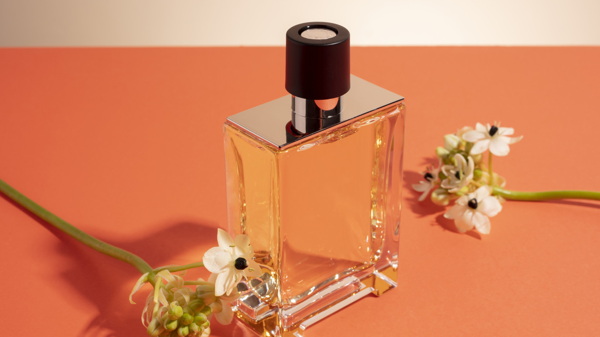 Suivez vos émotions, trouvez votre parfum...